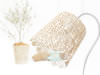 �e�[�u�����C�g CROCHE