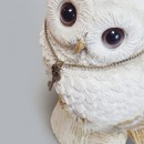 フクロウの貯金箱