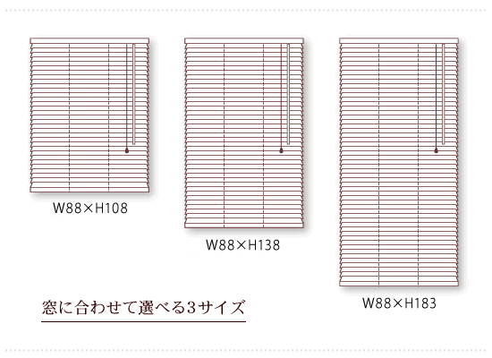 ３サイズ展開