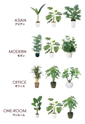 合計4種類の光触媒インテリアグリーン