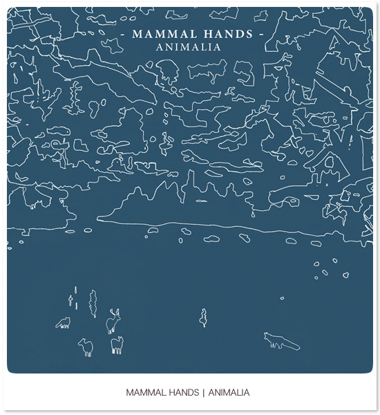 Animalia - Mammal Hands - Image