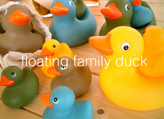 Family Duck - Image