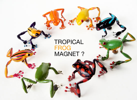 Frog Magnet - Image