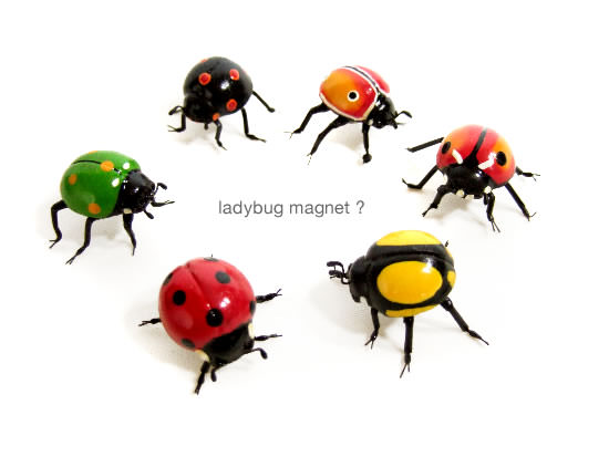 てんとう虫のマグネット - Image