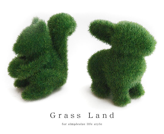 GRASS LAND - Image